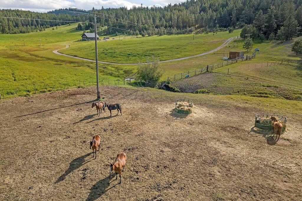Wilderness Cabin - Eden Valley Oroville Exteriér fotografie