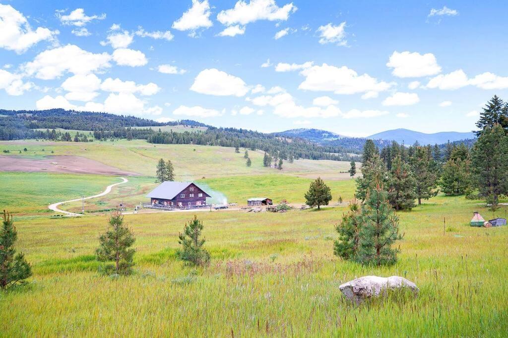 Wilderness Cabin - Eden Valley Oroville Exteriér fotografie